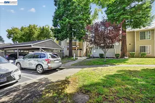 242 Eastridge Dr, San Ramon, CA 94582 - Photo 42