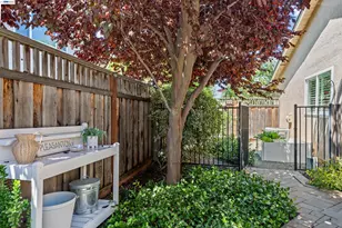 2533 Larrikeet Ct, Pleasanton, CA 94566 - Photo 44