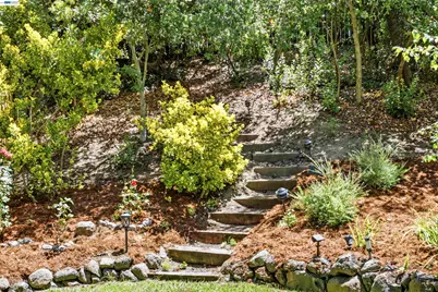 507 Raven Pl, Clayton, CA 94517 - Photo 44