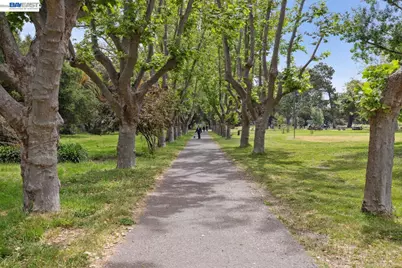 1333 Webster Street #A101, Alameda, CA 94501 - Photo 36