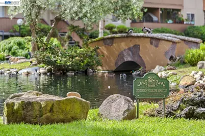 1333 Webster Street #A101, Alameda, CA 94501 - Photo 46