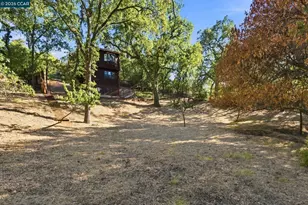 890 Holly Hill Dr, Walnut Creek, CA 94596 - Photo 32
