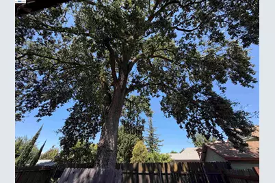 217 Cedar St, Roseville, CA 95678 - Photo 20