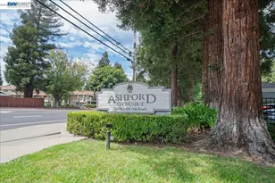2598 Oak Rd, Walnut Creek, CA 94597 - Photo 32