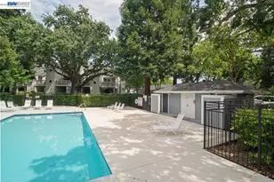 2598 Oak Rd, Walnut Creek, CA 94597 - Photo 30