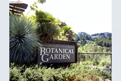 1545 Summit Rd, Berkeley, CA 94708 - Photo 46
