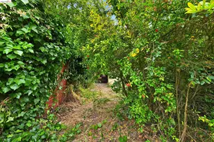 2219 Derby St, Berkeley, CA 94705 - Photo 40