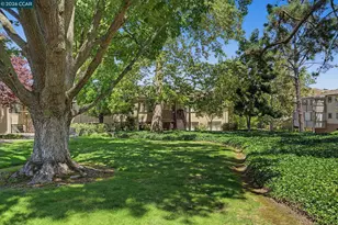1108 Fairlawn Ct, Walnut Creek, CA 94595 - Photo 4