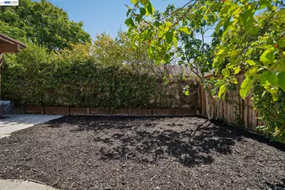 2932 Barrington Terrance, Fremont, CA 94536 - Photo 40