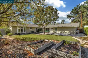 241 Ivy Pl, Orinda, CA 94563 - Photo 8
