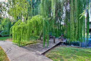 2400 Larkspur Ln, Sacramento, CA 95825 - Photo 24