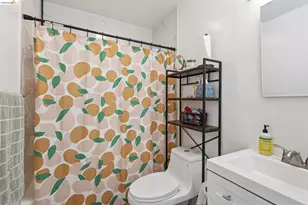 869 Woodside Way, San Mateo, CA 94401 - Photo 44