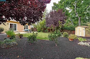 161 Valle Vista Dr, Danville, CA 94526 - Photo 50