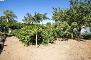 105 Bolton Rd, Oakley, CA 94561 - Photo 38