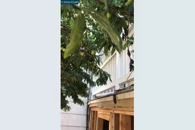 3529 Mission St, San Francisco, CA 94110 - Photo 2