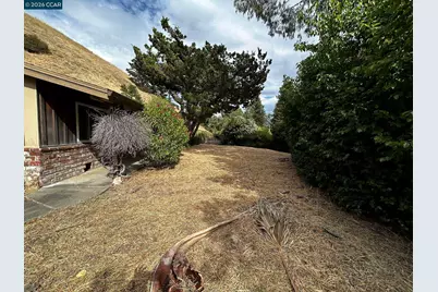 1556 Springbrook Rd, Walnut Creek, CA 94597 - Photo 38