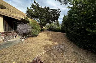 1556 Springbrook Rd, Walnut Creek, CA 94597 - Photo 38