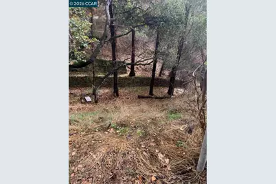 Mountain View Ave, Oakland, CA 94605 - Photo 8