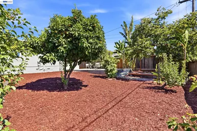 115 Gadsden Dr, Milpitas, CA 95035 - Photo 38