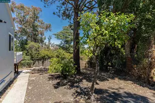 1910 Encima Dr, Concord, CA 94519 - Photo 62