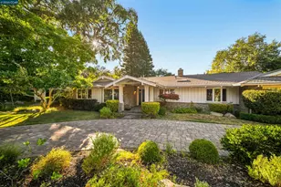 250 La Serena Ave, Alamo, CA 94507 - Photo 38