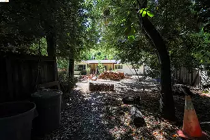 5039 Alhambra Valley Rd, Martinez, CA 94553 - Photo 54