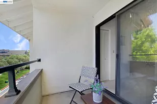 886 Walnut Ave, Fremont, CA 94536 - Photo 12