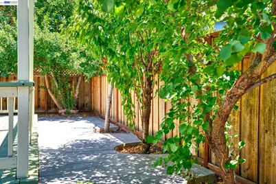 1059 Bellflower St, Livermore, CA 94551 - Photo 26