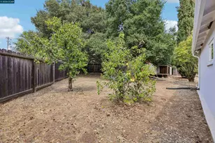 1156 Francine Ct, Concord, CA 94518 - Photo 40