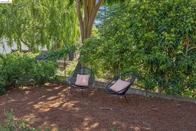 1010 Keeler Ave, Berkeley, CA 94708 - Photo 74