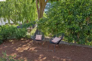 1010 Keeler Ave, Berkeley, CA 94708 - Photo 74