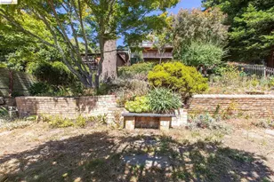 1023 Keeler, Berkeley, CA 94708 - Photo 12