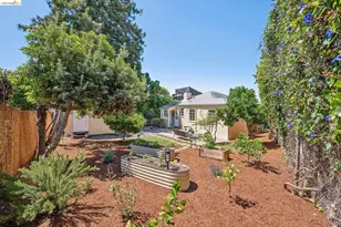 1133 Walnut St, Berkeley, CA 94707 - Photo 54
