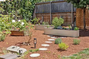 1133 Walnut St, Berkeley, CA 94707 - Photo 52