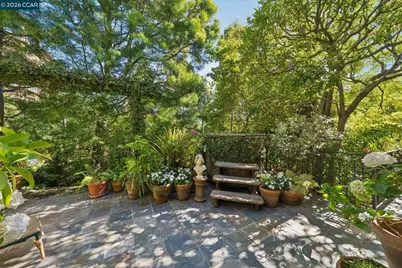 2388 Vine St, Berkeley, CA 94708 - Photo 34