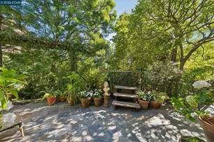 2388 Vine St, Berkeley, CA 94708 - Photo 34