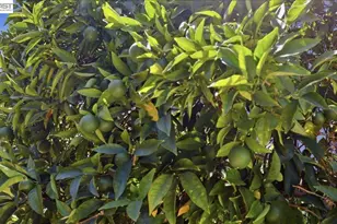 4046 Alvarado St, Pleasanton, CA 94566 - Photo 24