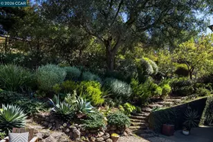 7174 Norfolk Rd, Berkeley, CA 94705 - Photo 24