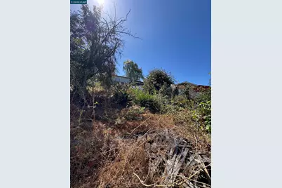 3700 Laguna Ave, Oakland, CA 94602 - Photo 14
