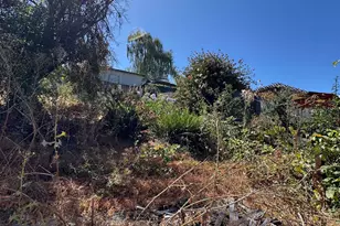 3700 Laguna Ave, Oakland, CA 94602 - Photo 14