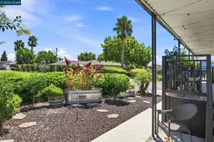 4603 Balfour Rd, Brentwood, CA 94513 - Photo 6