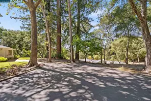 18 Sycamore Rd, Orinda, CA 94563 - Photo 46