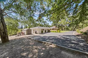 18 Sycamore Rd, Orinda, CA 94563 - Photo 42