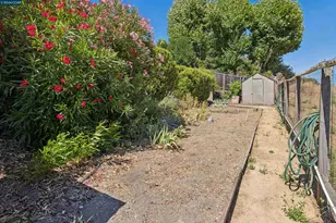 267 Fernwood Dr, Moraga, CA 94556 - Photo 50