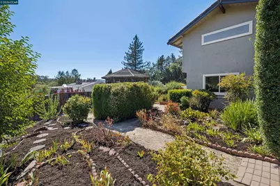 267 Fernwood Dr, Moraga, CA 94556 - Photo 42