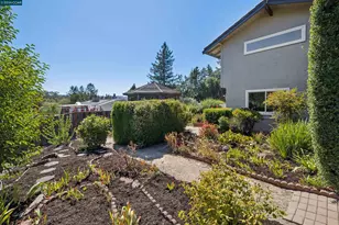 267 Fernwood Dr, Moraga, CA 94556 - Photo 42