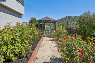 267 Fernwood Dr, Moraga, CA 94556 - Photo 48