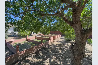 350 Strand Ave, Pleasant Hill, CA 94523 - Photo 14