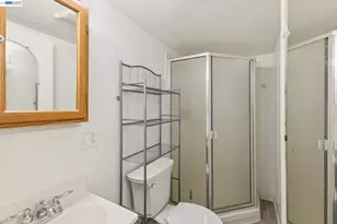 3851 Vineyard Ave, Pleasanton, CA 94566 - Photo 40