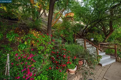 205 Summit Rd, Walnut Creek, CA 94598 - Photo 46